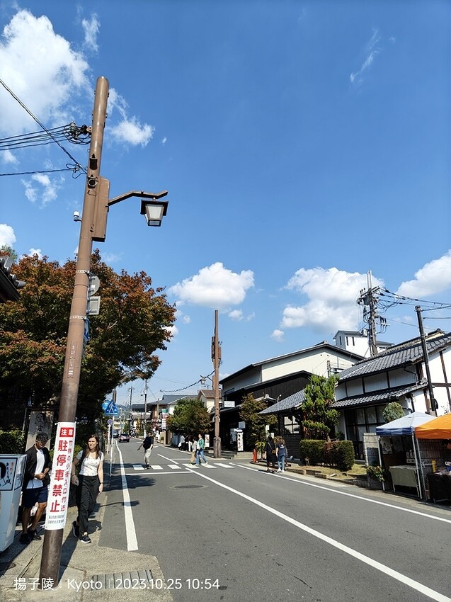 2023環遊關西5日|第2天(上)|京都嵐山竹林小徑|京都野