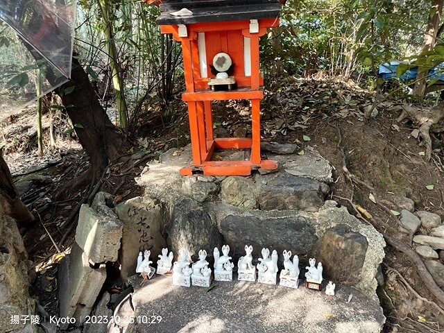 2023環遊關西5日|第2天(上)|京都嵐山竹林小徑|京都野