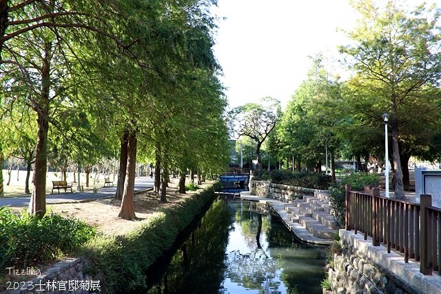 2023士林官邸菊展|菊藝生活,活動日期:2023/11/2