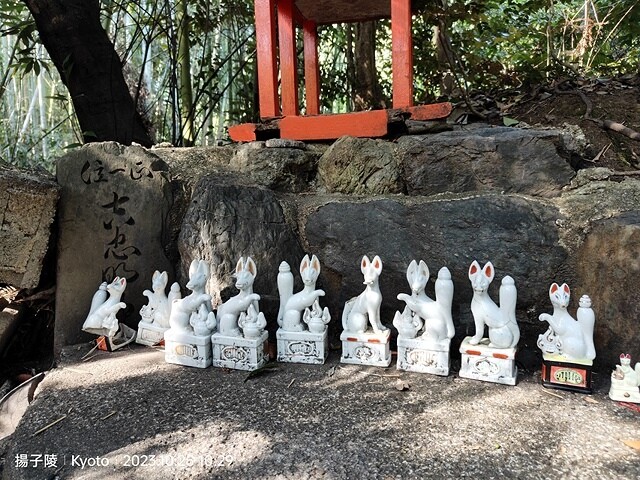 2023環遊關西5日|第2天(上)|京都嵐山竹林小徑|京都野