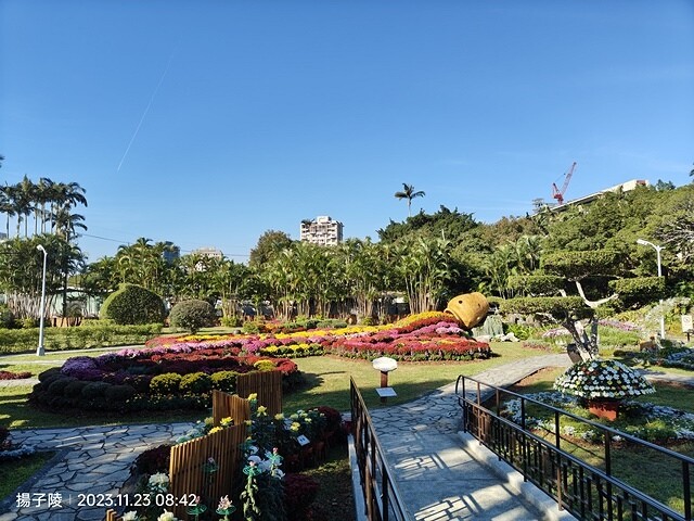 2023士林官邸菊展|菊藝生活,活動日期:2023/11/2