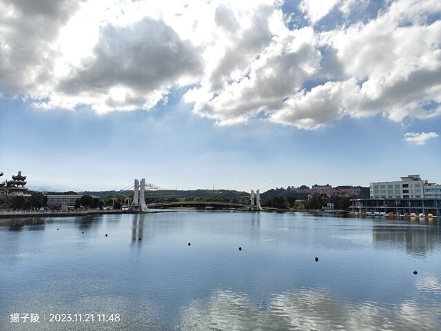 2023桃園仙草嘉年華，活動日期：2023/11/25～20