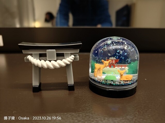 2023環遊關西5日|第3天(上)|世界文化遺產:東大寺|東