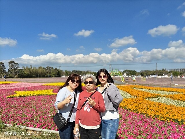 2023桃園仙草嘉年華，活動日期：2023/11/25～20