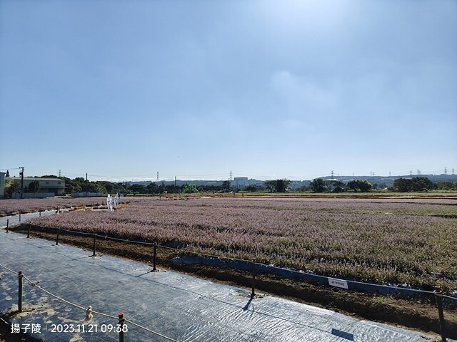 2023桃園仙草嘉年華，活動日期：2023/11/25～20