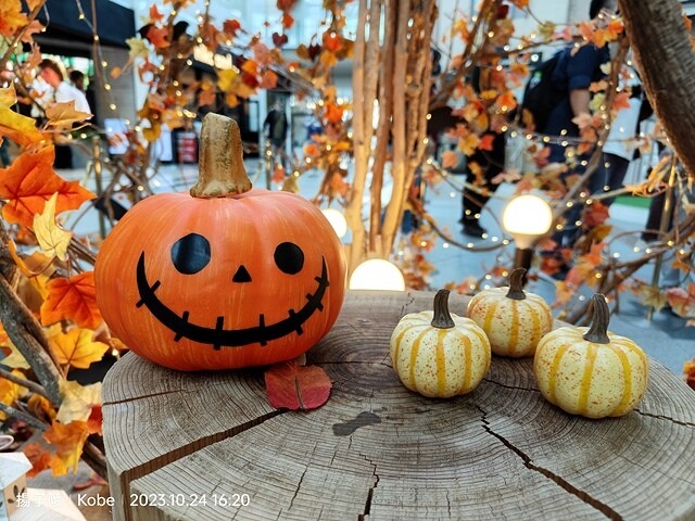 2023環遊關西5日|第1天桃園機場→關西空港|北野異人館街