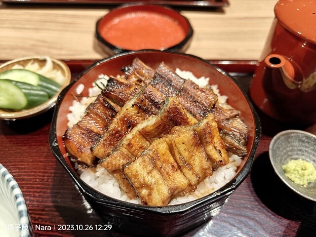 2023環遊關西5日|第3天(上)|世界文化遺產:東大寺|東