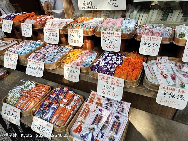 2023環遊關西5日|第2天(上)|京都嵐山竹林小徑|京都野