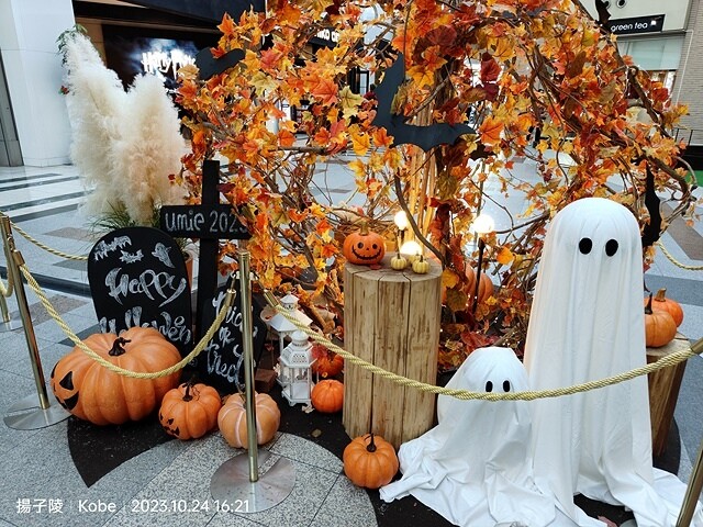 2023環遊關西5日|第1天桃園機場→關西空港|北野異人館街