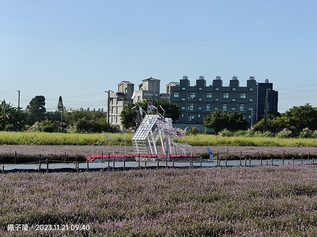 2023桃園仙草嘉年華，活動日期：2023/11/25～20