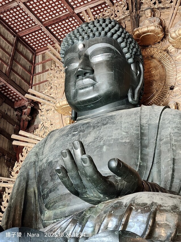 2023環遊關西5日|第3天(上)|世界文化遺產:東大寺|東