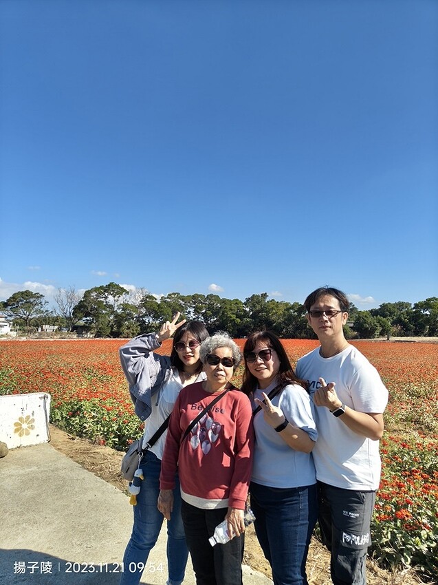 2023桃園仙草嘉年華，活動日期：2023/11/25～20