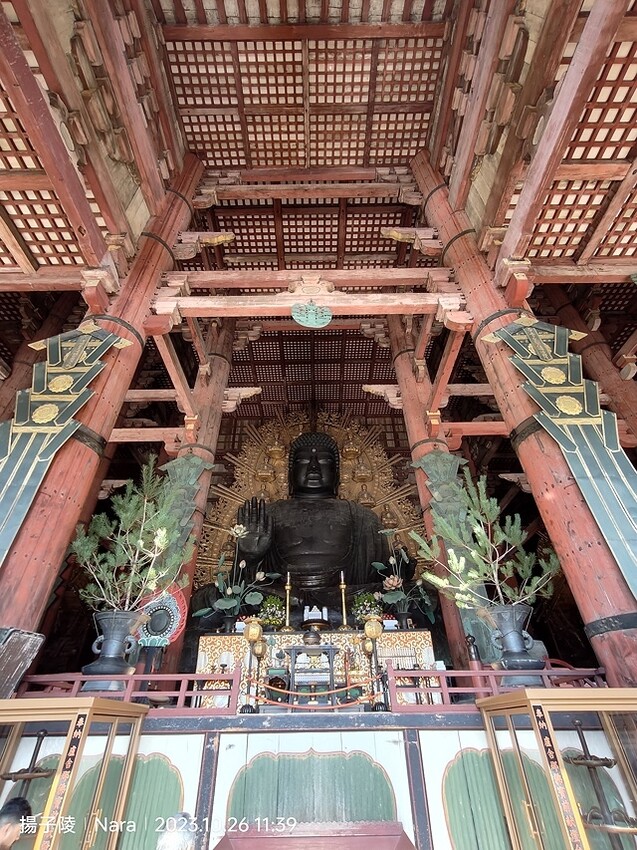 2023環遊關西5日|第3天(上)|世界文化遺產:東大寺|東