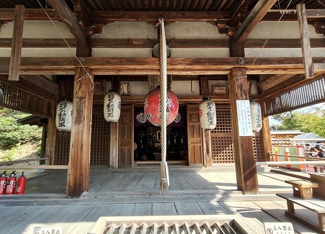 2023環遊關西5日|第2天(上)|京都嵐山竹林小徑|京都野