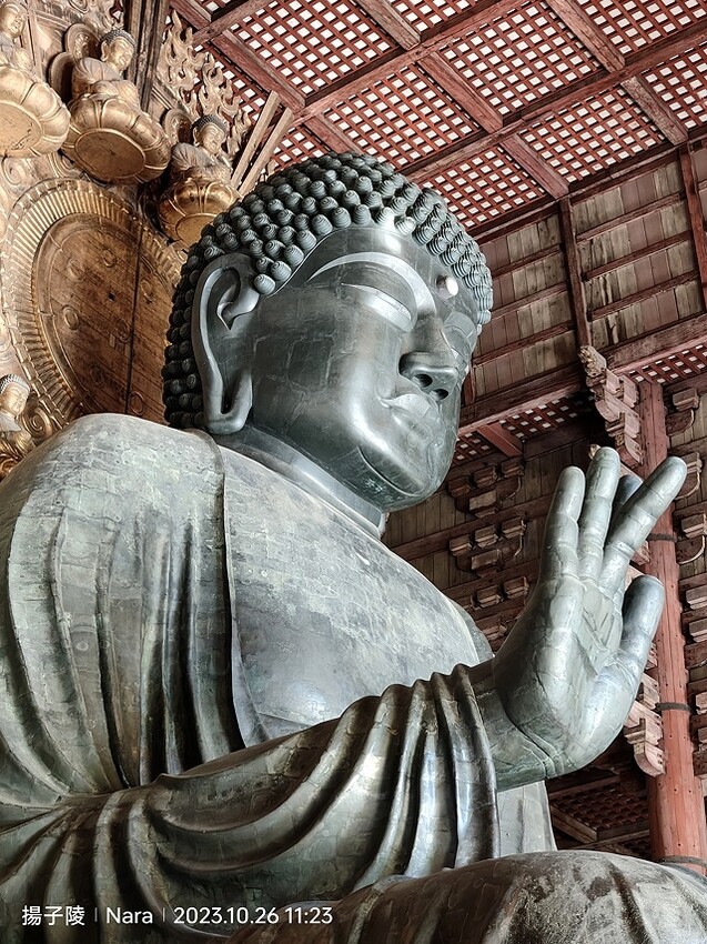 2023環遊關西5日|第3天(上)|世界文化遺產:東大寺|東