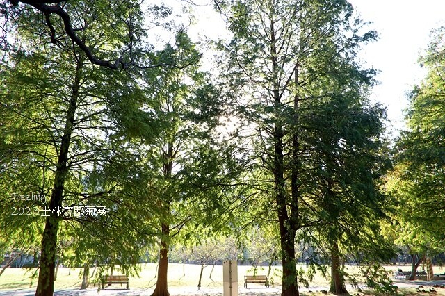 2023士林官邸菊展|菊藝生活,活動日期:2023/11/2