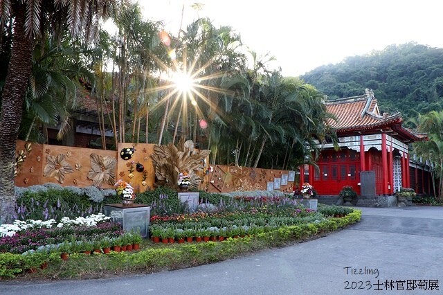 2023士林官邸菊展|菊藝生活,活動日期:2023/11/2