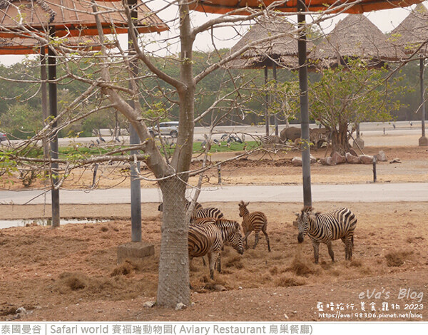 Safari world 賽福瑞動物園和鳥巢餐廳-13.jpg Safari world 賽福瑞動物園和鳥巢餐廳-13.jpg