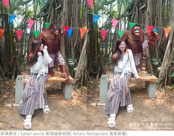 Safari world 賽福瑞動物園和鳥巢餐廳-57.jpg Safari world 賽福瑞動物園和鳥巢餐廳-57.jpg