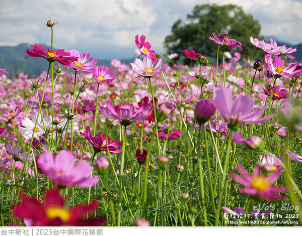 台中國際花毯節-60.jpg 台中國際花毯節-60.jpg