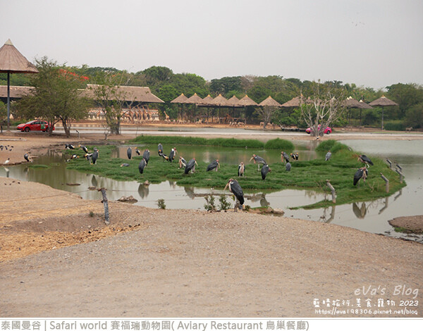 Safari world 賽福瑞動物園和鳥巢餐廳-10.jpg Safari world 賽福瑞動物園和鳥巢餐廳-10.jpg