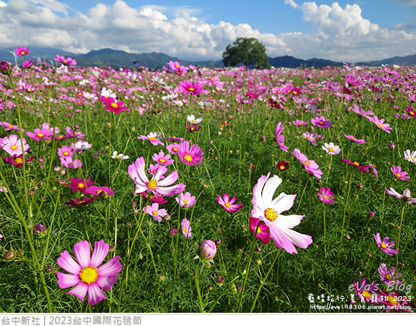 台中國際花毯節-58.jpg 台中國際花毯節-58.jpg