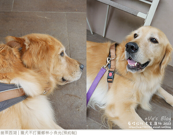 獵犬不打獵鄉林小食光-38.jpg