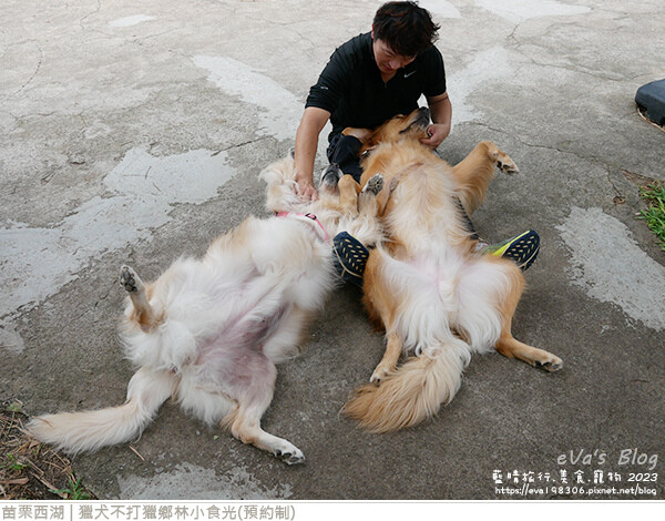 獵犬不打獵鄉林小食光-60.jpg