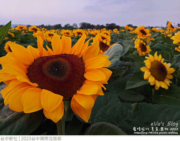 台中國際花毯節-79.jpg 台中國際花毯節-79.jpg