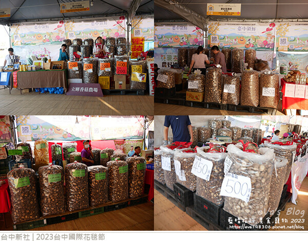 台中國際花毯節-66.jpg 台中國際花毯節-66.jpg