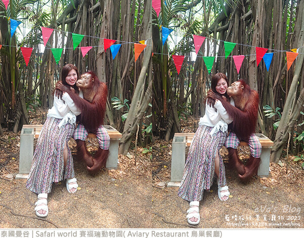 Safari world 賽福瑞動物園和鳥巢餐廳-56.jpg Safari world 賽福瑞動物園和鳥巢餐廳-56.jpg