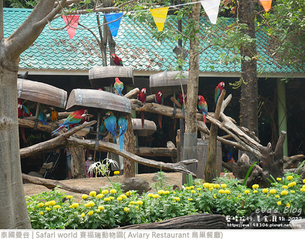 Safari world 賽福瑞動物園和鳥巢餐廳-30.jpg Safari world 賽福瑞動物園和鳥巢餐廳-30.jpg