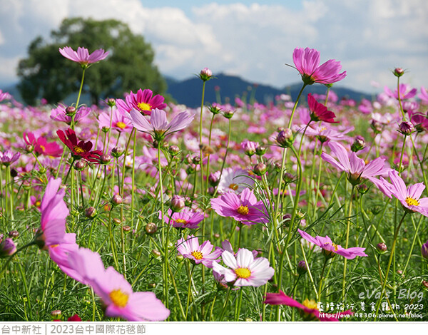 台中國際花毯節-59.jpg 台中國際花毯節-59.jpg
