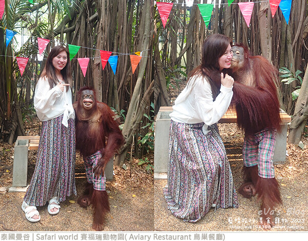 Safari world 賽福瑞動物園和鳥巢餐廳-59.jpg Safari world 賽福瑞動物園和鳥巢餐廳-59.jpg