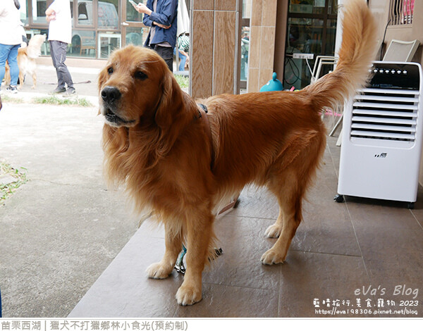 獵犬不打獵鄉林小食光-55.jpg