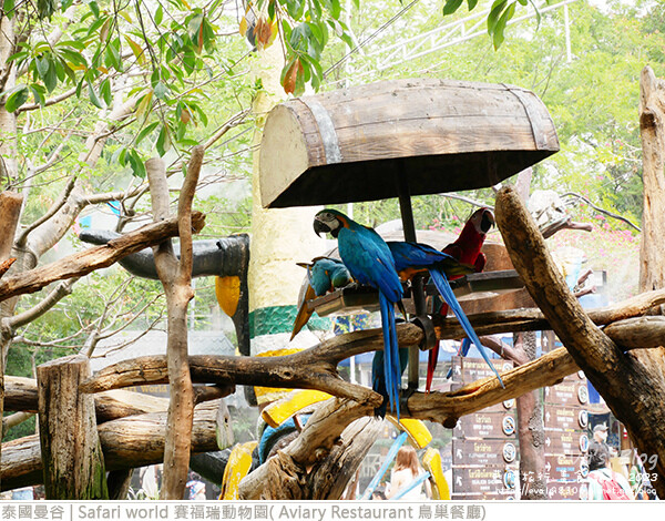 Safari world 賽福瑞動物園和鳥巢餐廳-29.jpg Safari world 賽福瑞動物園和鳥巢餐廳-29.jpg