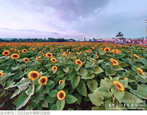 台中國際花毯節-76.jpg 台中國際花毯節-76.jpg