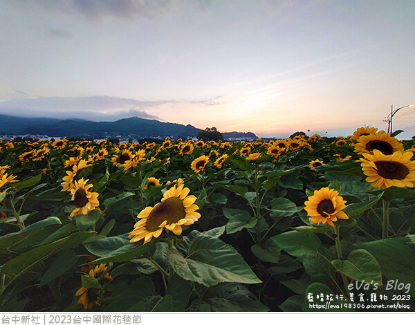 台中國際花毯節-77.jpg 台中國際花毯節-77.jpg
