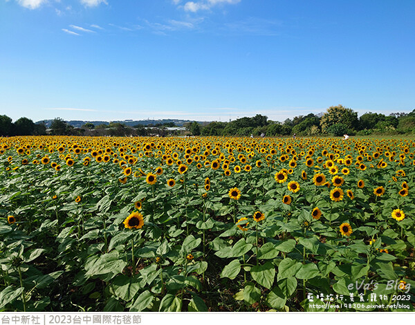 台中國際花毯節-50.jpg 台中國際花毯節-50.jpg