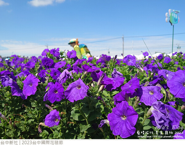 台中國際花毯節-33.jpg 台中國際花毯節-33.jpg