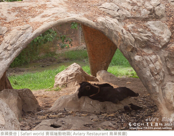 Safari world 賽福瑞動物園和鳥巢餐廳-24.jpg Safari world 賽福瑞動物園和鳥巢餐廳-24.jpg