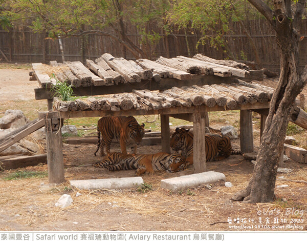 Safari world 賽福瑞動物園和鳥巢餐廳-20.jpg Safari world 賽福瑞動物園和鳥巢餐廳-20.jpg