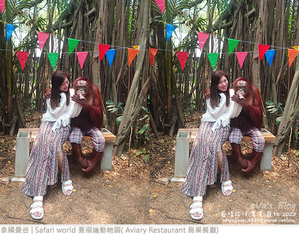 Safari world 賽福瑞動物園和鳥巢餐廳-55.jpg Safari world 賽福瑞動物園和鳥巢餐廳-55.jpg