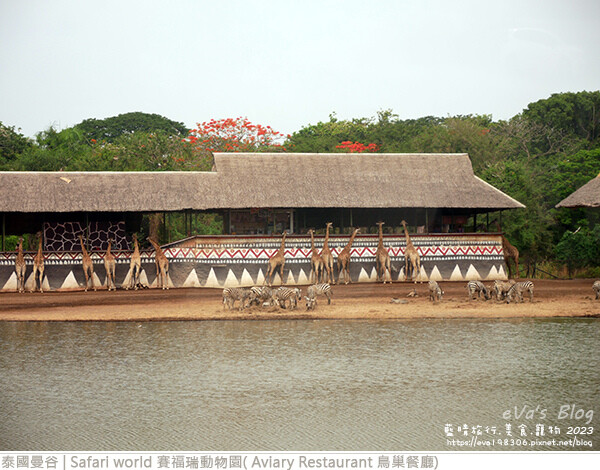 Safari world 賽福瑞動物園和鳥巢餐廳-12.jpg Safari world 賽福瑞動物園和鳥巢餐廳-12.jpg