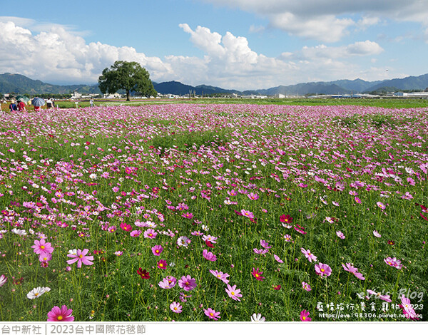 台中國際花毯節-57.jpg 台中國際花毯節-57.jpg