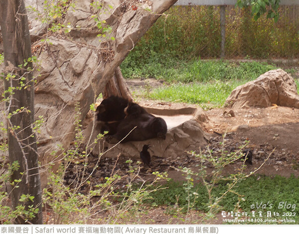 Safari world 賽福瑞動物園和鳥巢餐廳-23.jpg Safari world 賽福瑞動物園和鳥巢餐廳-23.jpg