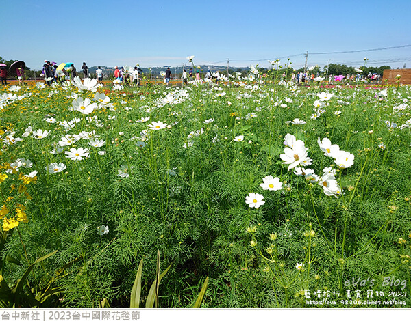 台中國際花毯節-31.jpg 台中國際花毯節-31.jpg