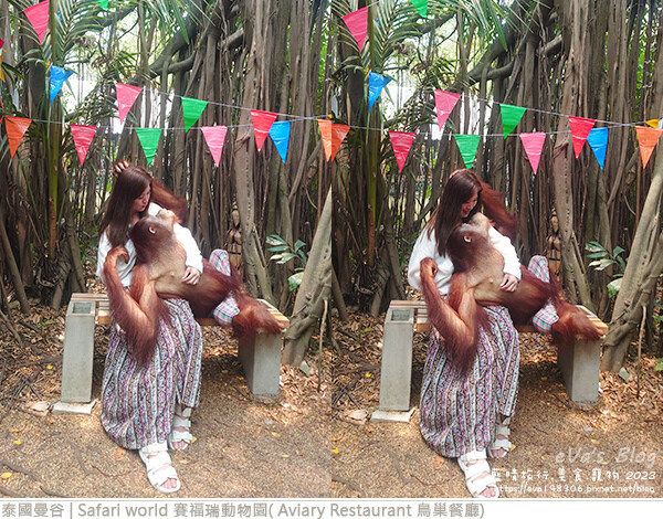 Safari world 賽福瑞動物園和鳥巢餐廳-58.jpg Safari world 賽福瑞動物園和鳥巢餐廳-58.jpg