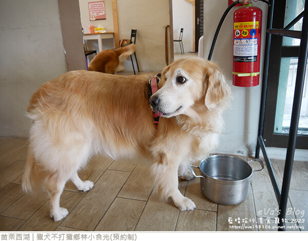 獵犬不打獵鄉林小食光-39.jpg