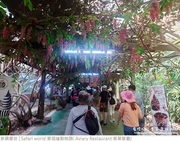 Safari world 賽福瑞動物園和鳥巢餐廳-28.jpg Safari world 賽福瑞動物園和鳥巢餐廳-28.jpg